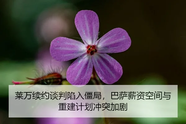 莱万续约谈判陷入僵局，巴萨薪资空间与重建计划冲突加剧