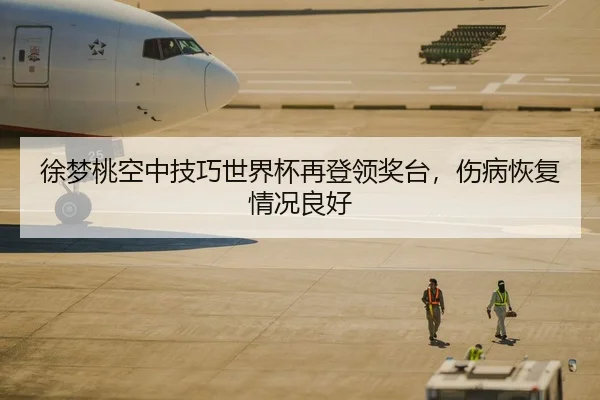 徐梦桃空中技巧世界杯再登领奖台，伤病恢复情况良好
