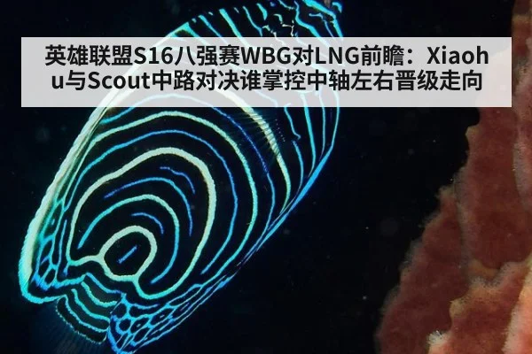英雄联盟S16八强赛WBG对LNG前瞻：Xiaohu与Scout中路对决谁掌控中轴左右晋级走向